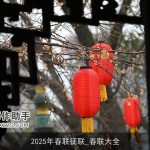 2025年春联征联_春联大全