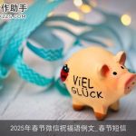 2025年春节微信祝福语例文_春节短信
