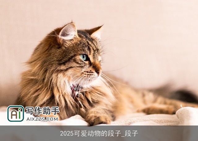 2025可爱动物的段子_段子