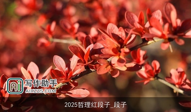 2025哲理红段子_段子