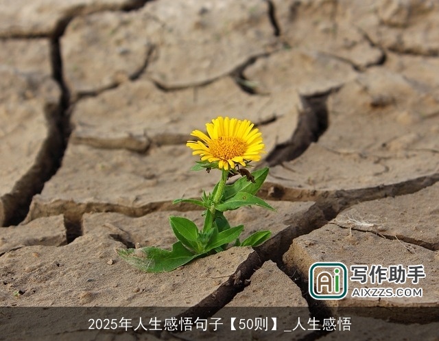 2025年人生感悟句子【50则】_人生感悟