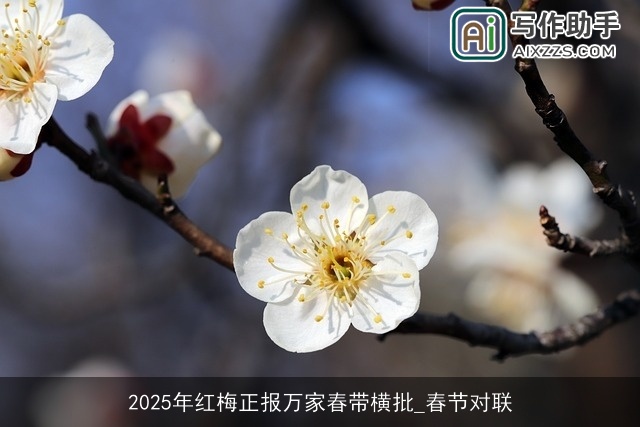 2025年红梅正报万家春带横批_春节对联