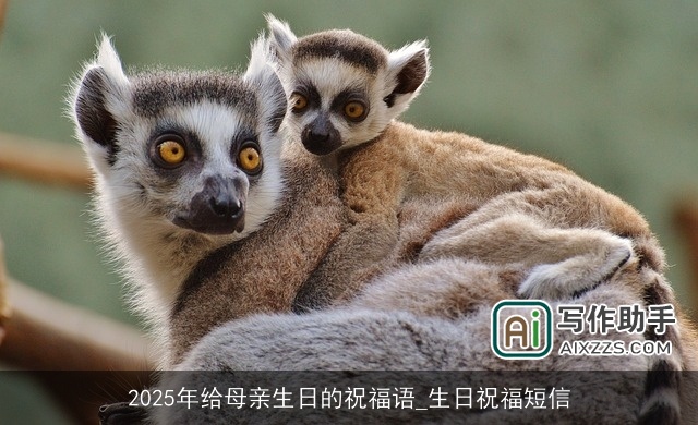 2025年给母亲生日的祝福语_生日祝福短信