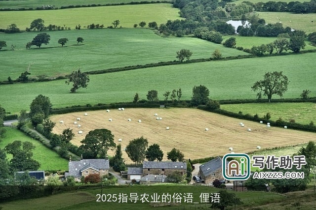 2025指导农业的俗语_俚语