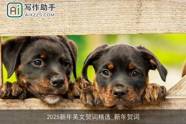 2025新年英文贺词精选_新年贺词