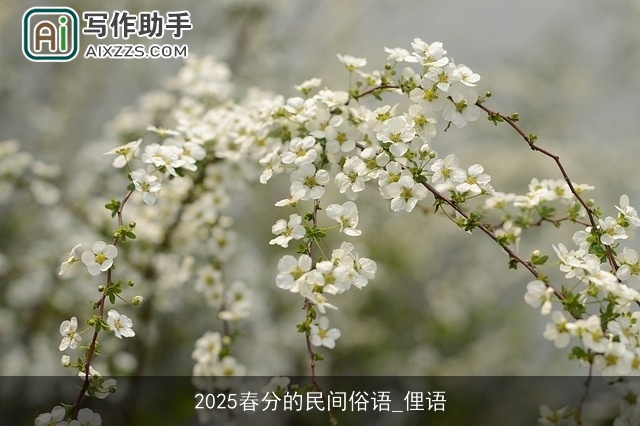 2025春分的民间俗语_俚语
