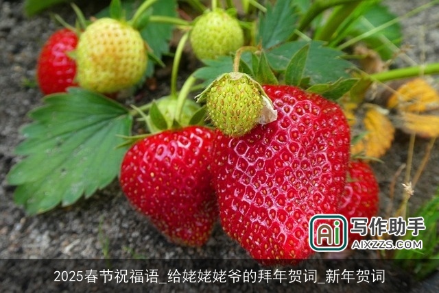 2025春节祝福语_给姥姥姥爷的拜年贺词_新年贺词