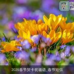 2025春节贺卡祝福语_春节短信