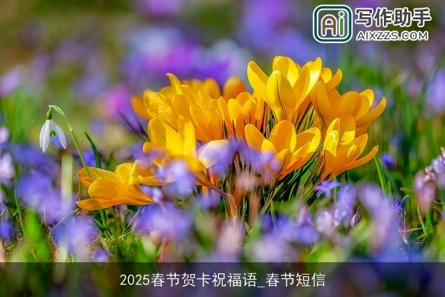 2025春节贺卡祝福语_春节短信