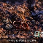 2025最新爱情的段子精选_段子
