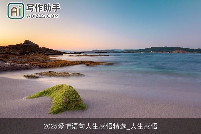 2025爱情语句人生感悟精选_人生感悟