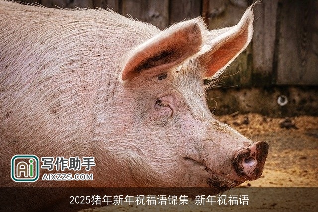 2025猪年新年祝福语锦集_新年祝福语