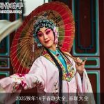 2025猴年14字春联大全_春联大全