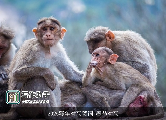 2025猴年对联贺词_春节对联