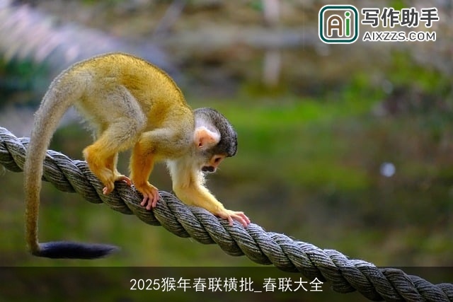 2025猴年春联横批_春联大全