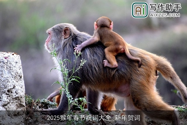 2025猴年春节祝词大全_新年贺词
