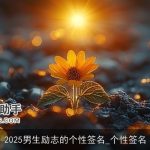 2025男生励志的个性签名_个性签名