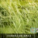 2025简短名言谚语_经典名言