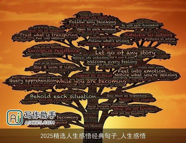 2025精选人生感悟经典句子_人生感悟