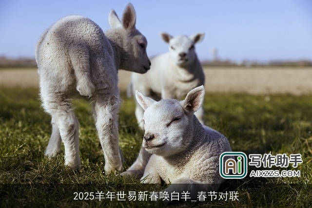 2025羊年世易新春唤白羊_春节对联