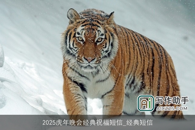 2025虎年晚会经典祝福短信_经典短信