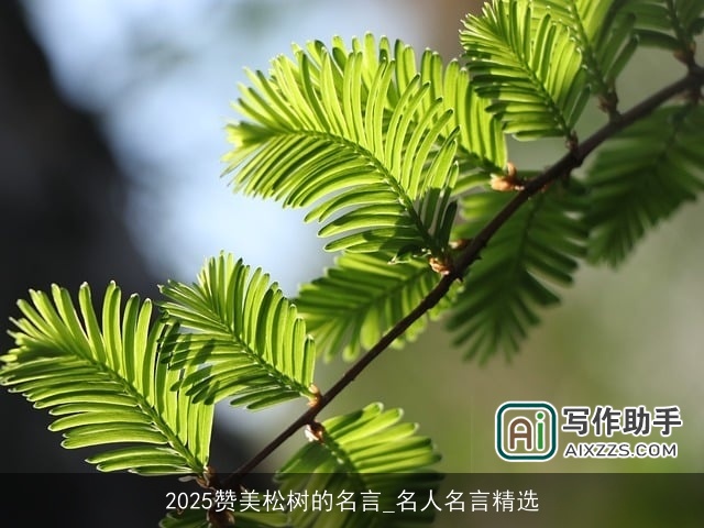 2025赞美松树的名言_名人名言精选