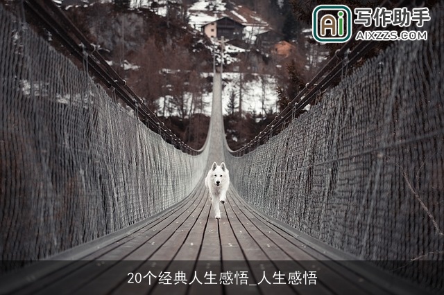 20个经典人生感悟_人生感悟