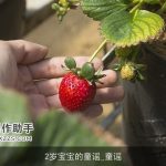 2岁宝宝的童谣_童谣