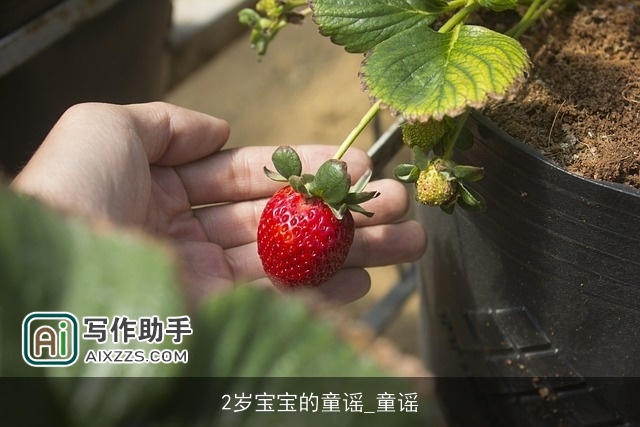 2岁宝宝的童谣_童谣