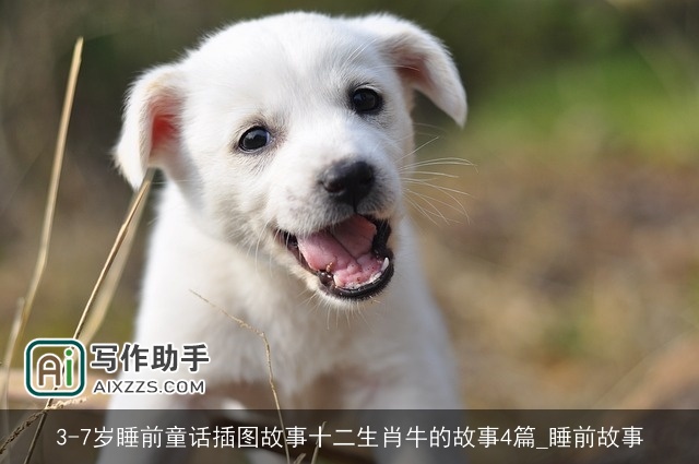 3-7岁睡前童话插图故事十二生肖牛的故事4篇_睡前故事