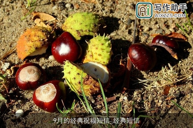 9月的经典祝福短信_经典短信