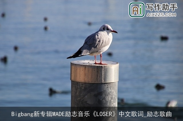 Bigbang新专辑MADE励志音乐《LOSER》中文歌词_励志歌曲