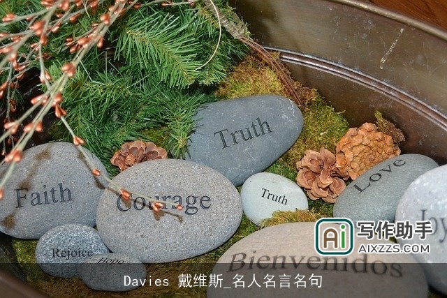 Davies 戴维斯_名人名言名句