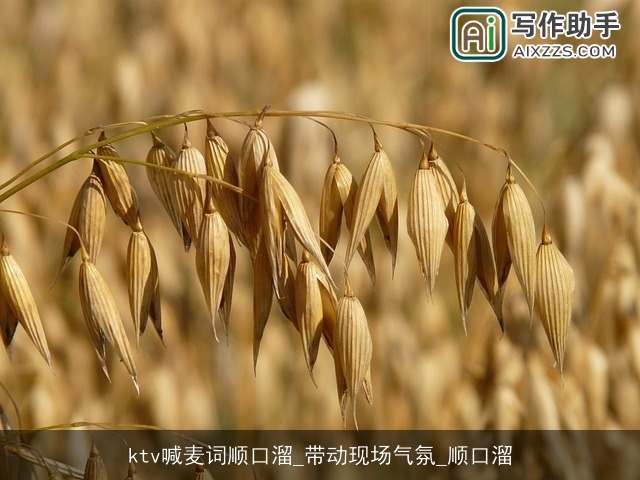 ktv喊麦词顺口溜_带动现场气氛_顺口溜