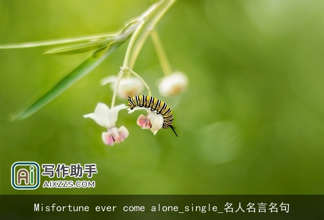 Misfortune ever come alone_single_名人名言名句
