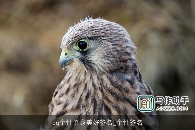 qq个性单身美好签名_个性签名