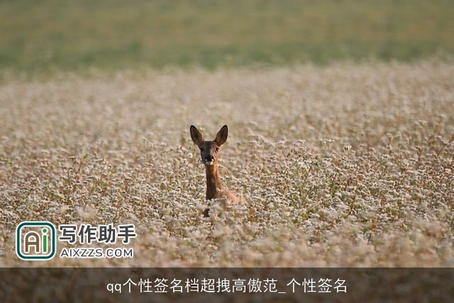 qq个性签名档超拽高傲范_个性签名