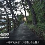 qq好听的伤感个人签名_个性签名