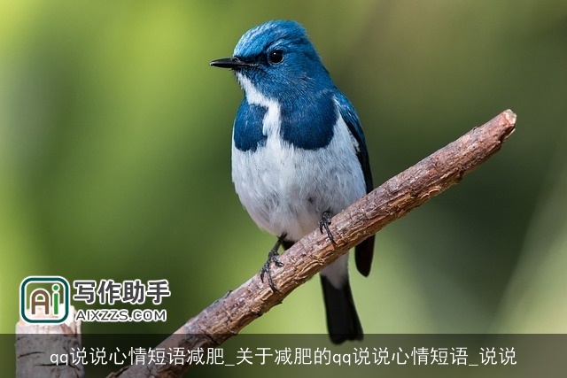 qq说说心情短语减肥_关于减肥的qq说说心情短语_说说
