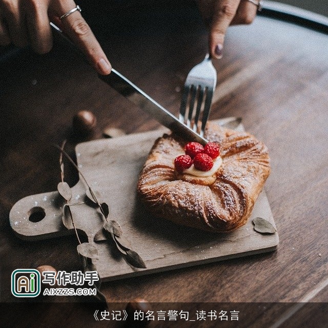 《史记》的名言警句_读书名言