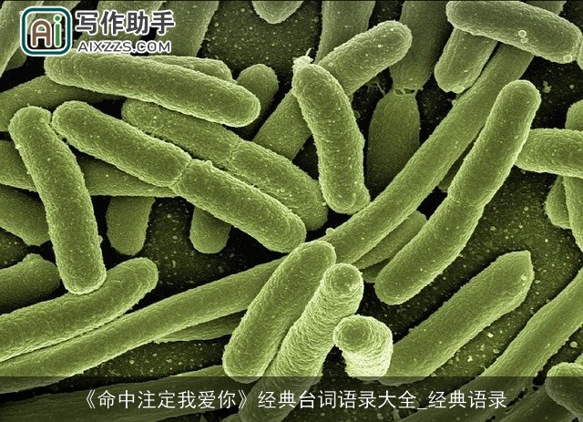 《命中注定我爱你》经典台词语录大全_经典语录