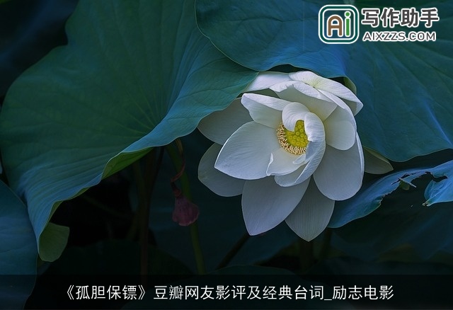 《孤胆保镖》豆瓣网友影评及经典台词_励志电影