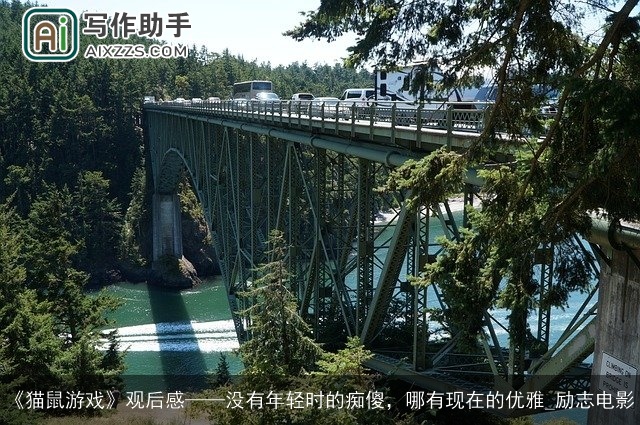 《猫鼠游戏》观后感——没有年轻时的痴傻，哪有现在的优雅_励志电影