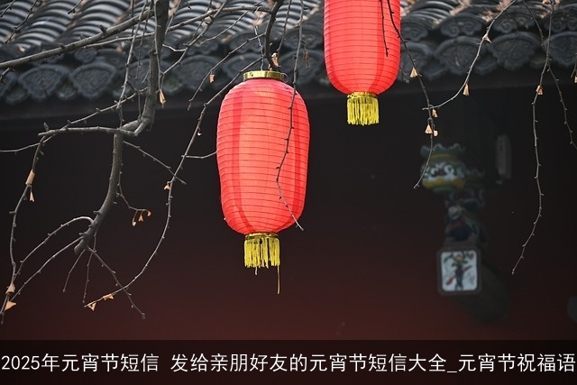 2025年元宵节短信 发给亲朋好友的元宵节短信大全_元宵节祝福语