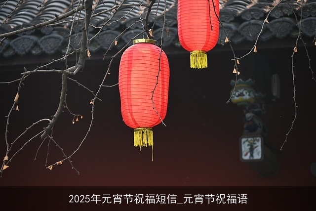 2025年元宵节祝福短信_元宵节祝福语