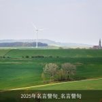 2025年名言警句_名言警句
