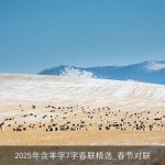 2025年含羊字7字春联精选_春节对联