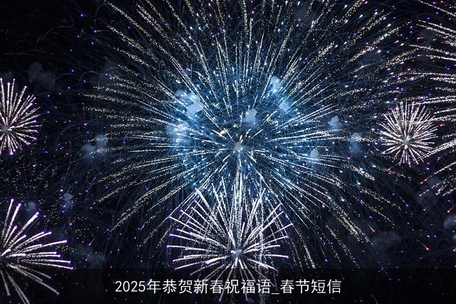 2025年恭贺新春祝福语_春节短信