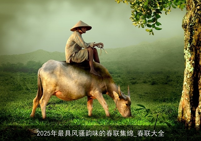 2025年最具风骚韵味的春联集绵_春联大全