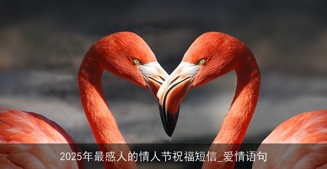 2025年最感人的情人节祝福短信_爱情语句